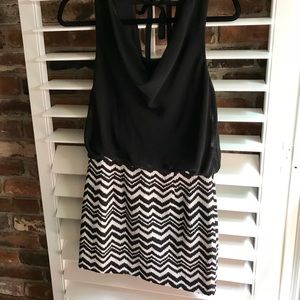 Zebra striped mini dress